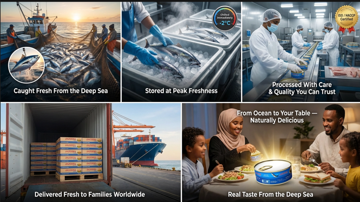 Jazeera Tuna project screenshot